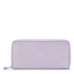 Money World Metallic Wallet