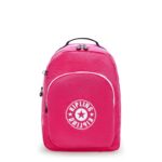 Curtis Extra Large 17 Laptop Backpack