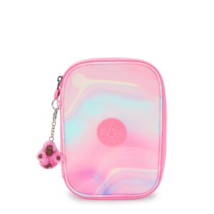 100 Pens Printed Case